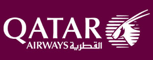 Airline Logo